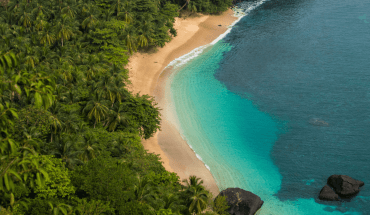 Grupo de voluntariado Earlybird